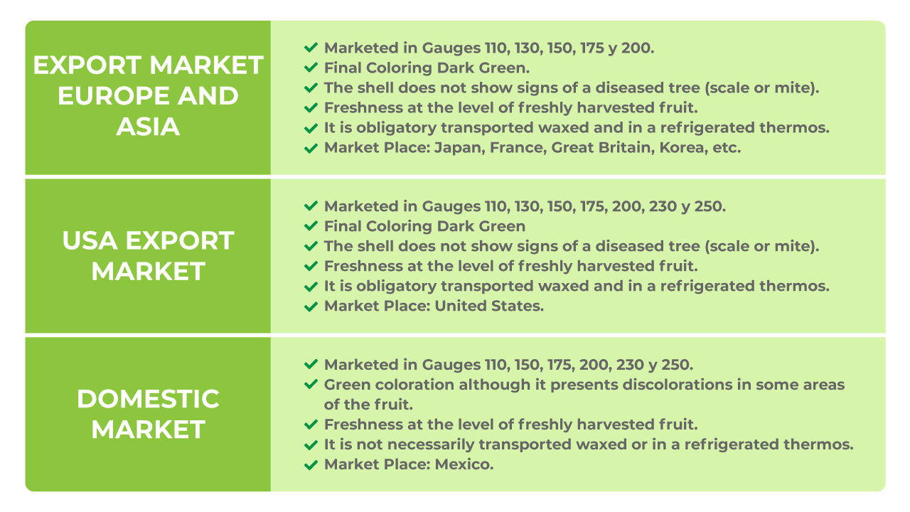 characteristics table persian lime